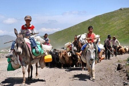 عشایر ۲۵ درصد امنیت غذایی کشور را تامین می‌کنند
