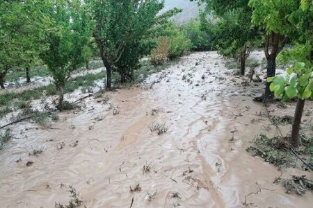 چهارشنبه احتمال وقوع سیلاب در جنوب و غرب استان/کرمان غبارآلود می‌شود