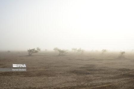 هشدار زرد هواشناسی کرمان برای طوفان شن | اخبار رفسنجان