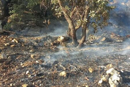 مشارکت هلال احمر کرمان در اطفاء حریق بیش از ۱۱۵ هکتار مراتع | اخبار کرمان و شهرستان ها