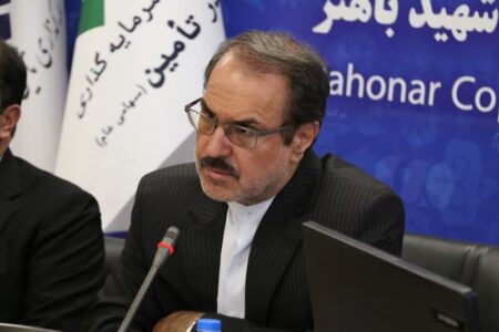 باید به سمت خصوصی‌سازی واقعی برویم نه اختصاصی‌سازی | اخبار کرمان و شهرستان ها