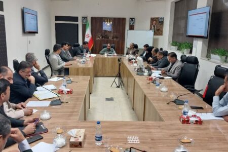 تدابیر طرح ساماندهی اتباع خارجی به دستگاه‌های مربوطه ابلاغ شد | اخبار کرمان و شهرستان ها