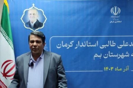 منطقه ویژه ارگ جدید بم ظرفیت‌های خوبی برای ایجاد اشتغال دارد | خبر کرمان