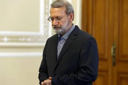 عکس/ حضور علی لاریجانی در حرم حضرت رقیه