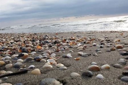 آب دریای خزر تبخیر شد؟ | اخبار اصلاحات