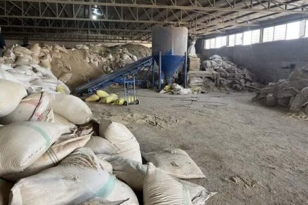 تعطیلی ۲ کارگاه غیرمجاز تولید خوراک دام