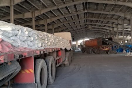 تامین ۲۰۰ تن کود کشاورزی در ارزوئیه