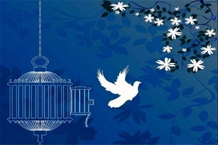 سومین پویش “گذشت می‌کنم” در کرمان