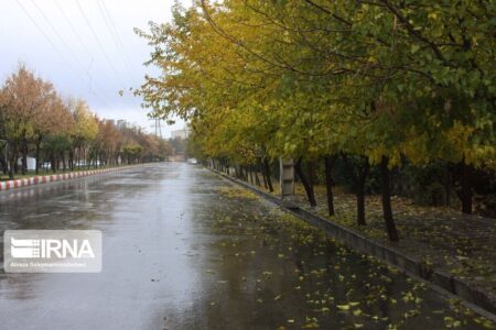 تداوم بارش پراکنده باران و هوای سرد در کرمان | خبر کرمان