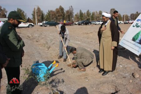 اجرای پویش درختکاری به نام پدر در انار