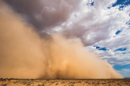 طوفان شن مزارع گوجه و هندوانه جازموریان را نابود کرد | خبر کرمان