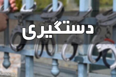 دستگیری عاملان تخریب ۱۴ دستگاه خودرو در سیرجان+ فیلم | خبر کرمان