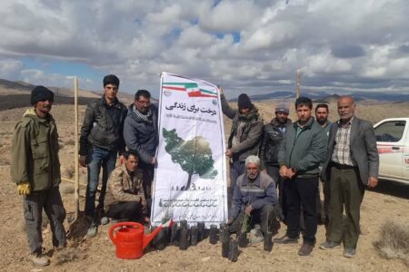 معادن در روستاهای زرند درخت کاری می کنند | خبر کرمان