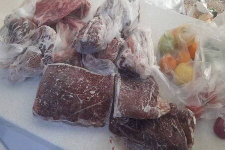 کشف گوشت شکار غیرمجاز از منزل شکارچی متخلف در بردسیر | خبر کرمان