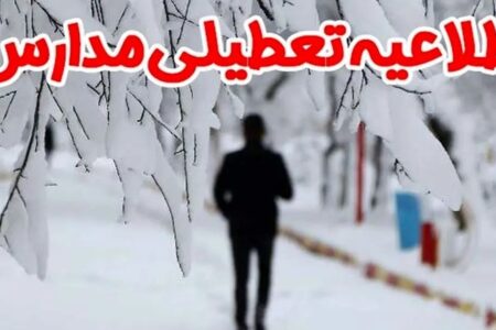 برخی مدارس استان کرمان غیرحضوری شد | خبر کرمان