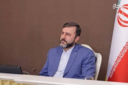 آزادی شهروند ایرانی از هلند