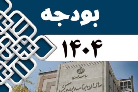 بخش دوم لایحه بودجه سال ۱۴۰۴ برای رئیس مجلس شورای اسلامی ارسال شد | اخبار اصلاحات