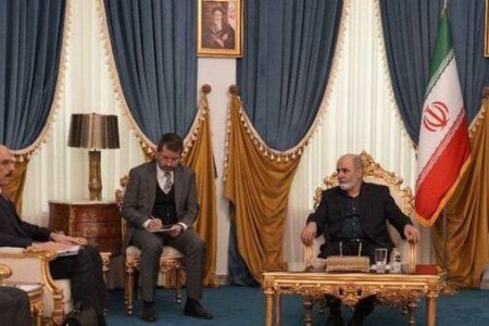 دیدار رئیس سازمان اطلاعات ملی ترکیه با احمدیان