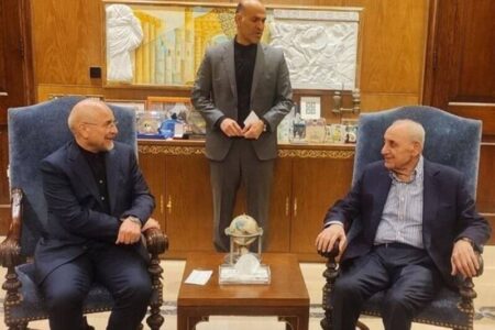 دیدار روسای مجالس ایران و لبنان