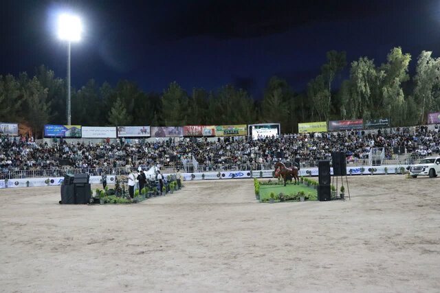 برگزاری دومین شب از مسابقات ملی زیبایی اسب‌های عرب | اخبار کرمان و شهرستان ها