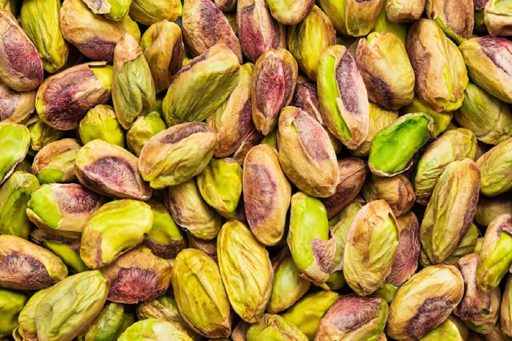 دانشمندان ژنوم پسته کرمان را توالی‌یابی کردند | اخبار کرمان و شهرستان ها