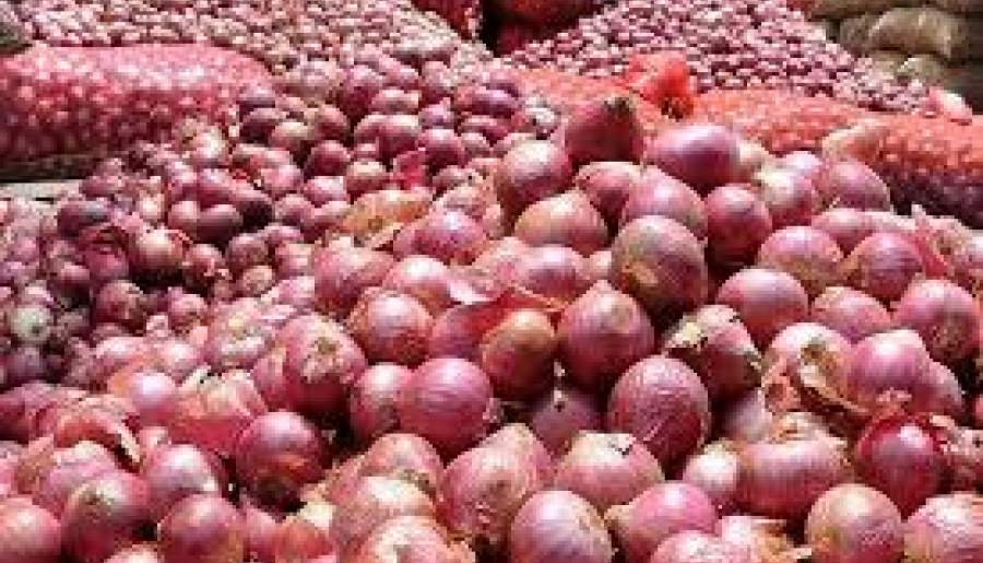 خرید تضمینی پیاز کشاورزان جنوب کرمان از فردا
