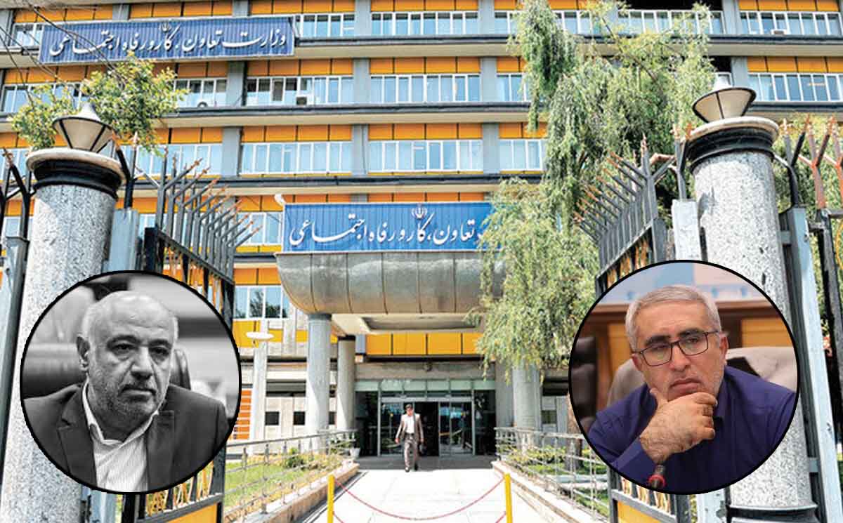 وزارت تعاون در مسیر اشتباه | اخبار استان کرمان