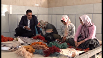 کارآفرین سیرجانی در میدان عمل؛ ارزآوری نیم میلیون دلاری و اشتغال‌زایی برای ۱۲۰۰ نفر از طریق فرش و گلیم