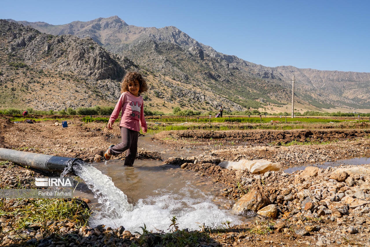 بحران برق در جنوب کرمان: اعتراضات کشاورزان به نمایندگان و تریبون‌ها می‌رسد | خبر کرمان