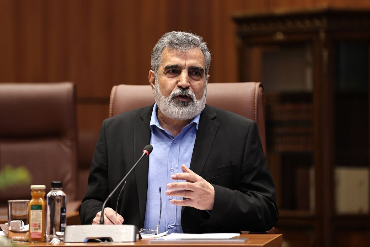 کمالوندی: ایران تنها کشوری نیست که غنی‌سازی می‌کند و سلاح هسته‌ای ندارد