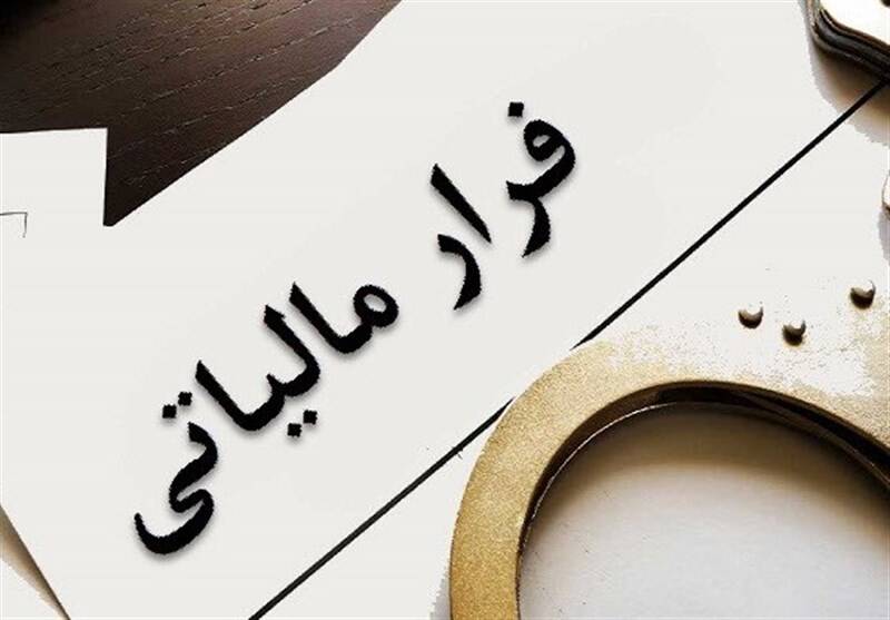 شناسایی فرار مالیاتی ۶۷۷ همتی در یک صندوق قرض‌الحسنه