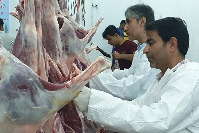 طرح ویژه نظارت بهداشتی بر دام‌های قربانی در فهرج آغاز شد | خبر کرمان