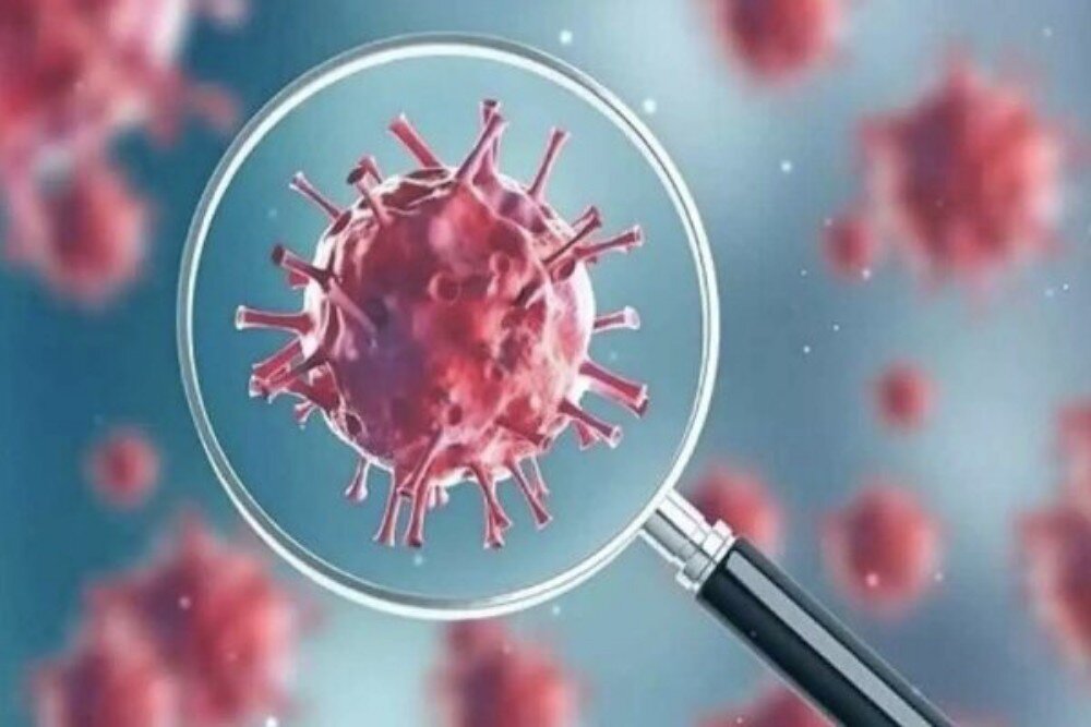 هشدار معاون دانشگاه علوم پزشکی رفسنجان درباره افزایش ابتلا به کرونا | اخبار کرمان و شهرستان ها