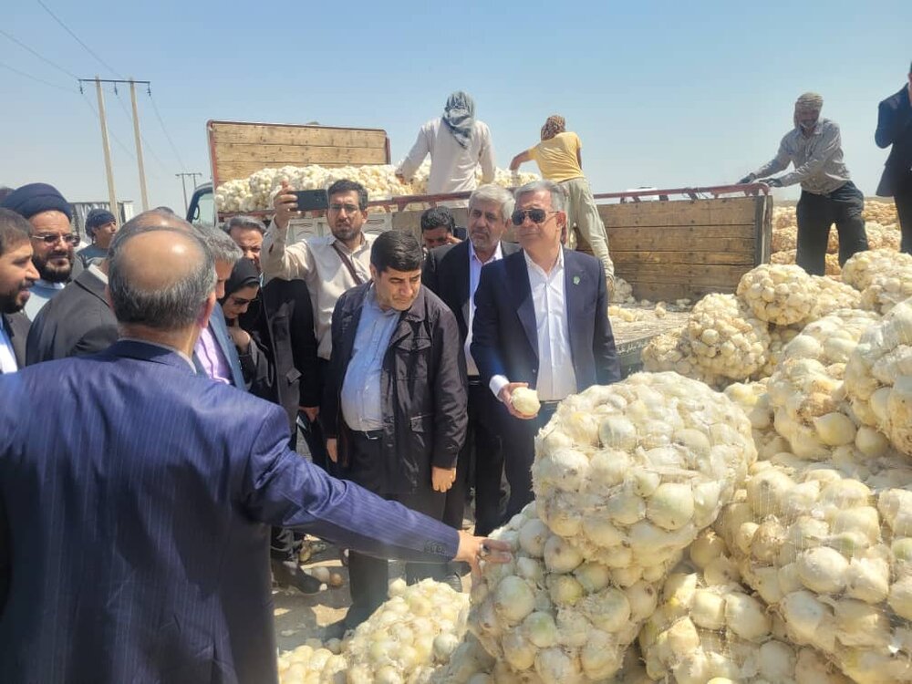 وضعیت بازار پیاز در جنوب کرمان نگران‌کننده است  | اخبار کرمان و شهرستان ها