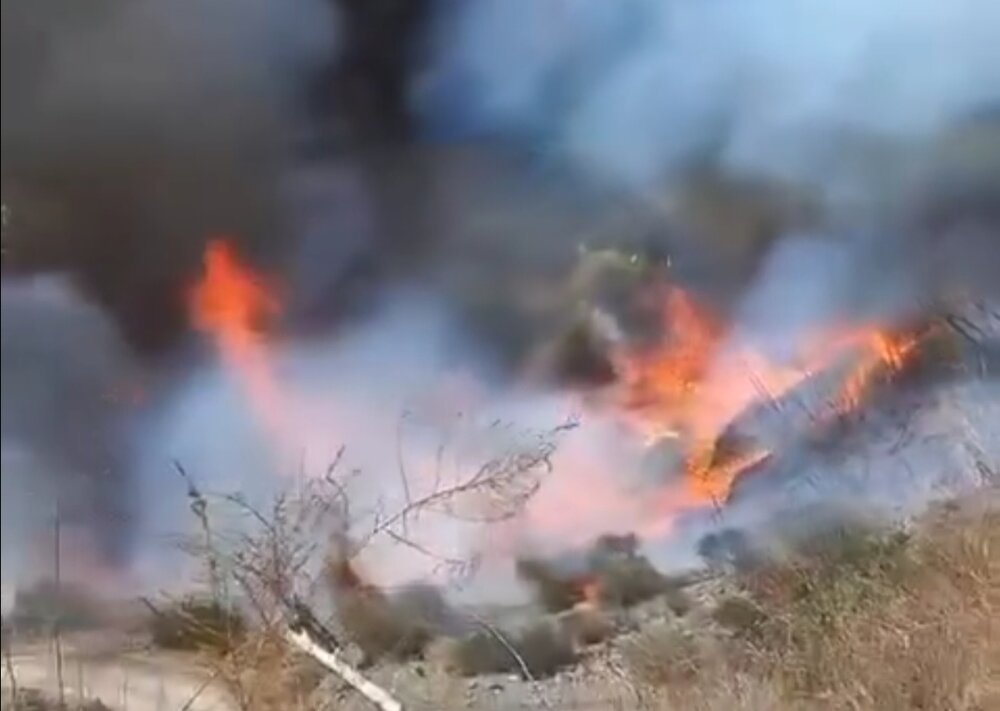 بخشی از باغات منطقه کوهستانی رمون شهرستان جیرفت طعمه حریق شد | اخبار کرمان و شهرستان ها