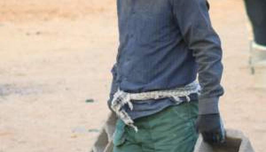 فعالیت ۳۰ گروه جهادی به یاد شهید جمهور | اخبار استان کرمان