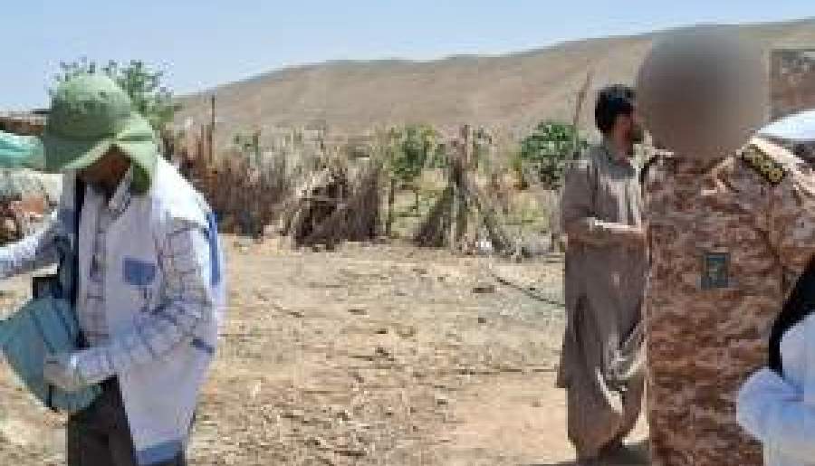 واکسیناسیون ۵ هزار رأس دام گنبکی | اخبار استان کرمان