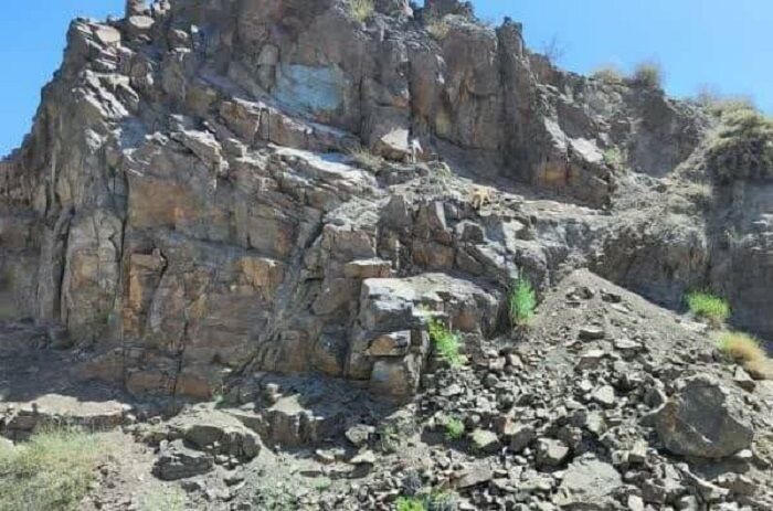 مشاهده مکرر گربه پالاس؛ نویدبخش افزایش جمعیت گونه‌ای کمیاب در کرمان | خبر کرمان