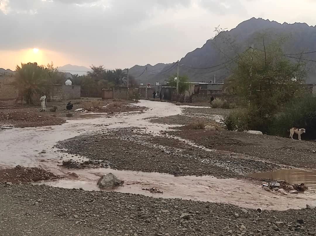 فیلم| بارش‌های رگباری و سیلاب ناگهانی، قلعه‌گنج را درنوردید | خبر کرمان