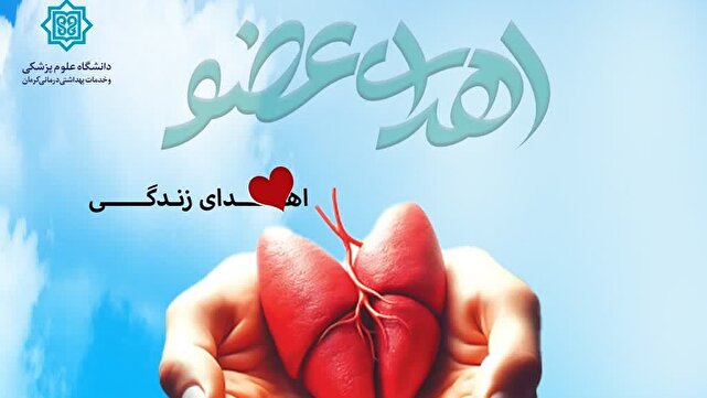 اهدای کبد مرد ۵۶ ساله، نجات دهنده زندگی یک بیمار شد | خبر کرمان