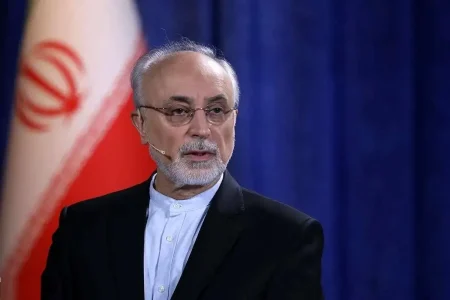 علی اکبر صالحی: ادعای منافقین درباره مخفی‌کاری ایران در برنامه هسته‌ای صحت ندارد