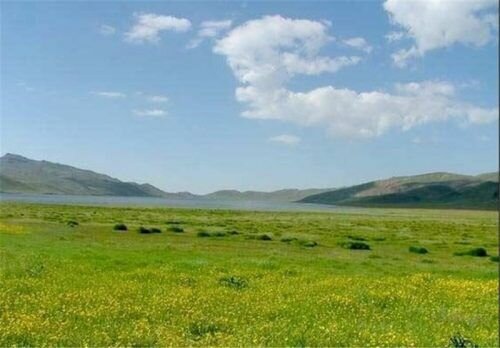 کاهش ۶۰ درصدی آتش‌سوزی در منابع طبیعی کرمان در سایه آگاهی عمومی و گشت‌های حفاظتی | اخبار کرمان و شهرستان ها