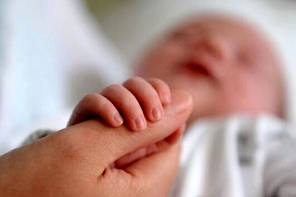 اهدای زندگی دوباره به ۴۸ جنین در مرکز «نفس» رفسنجان | اخبار کرمان و شهرستان ها