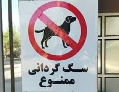 سگ‌گردانی در رفسنجان ممنوع شد | اخبار کرمان و شهرستان ها