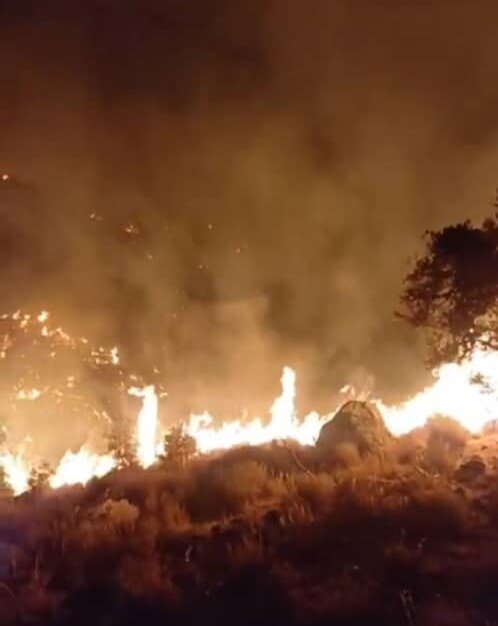 آتش‌سوزی ۱۴ ساعته در عنبرآباد؛ حریق گسترده در مناطق صعب‌العبور دهستان امجز  | اخبار کرمان و شهرستان ها