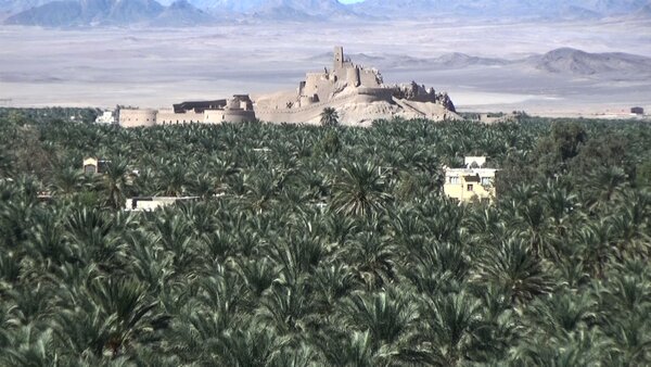 حمایت دستگاه قضایی بم در دفاع از میراث جهانی/ برخورد با تغییر کاربری باغات | اخبار کرمان و شهرستان ها