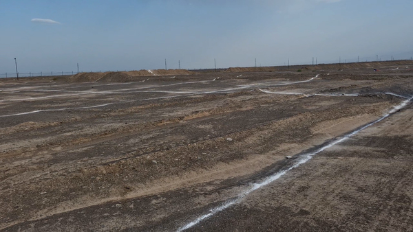 گام اول دولتی‌ها برای حفظ باغ‌شهر بم | اخبار استان کرمان