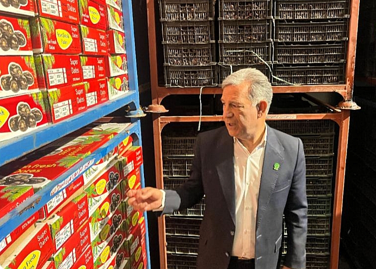 بررسی ظرفیت‌های برندسازی خرما جهت صادرات | اخبار استان کرمان