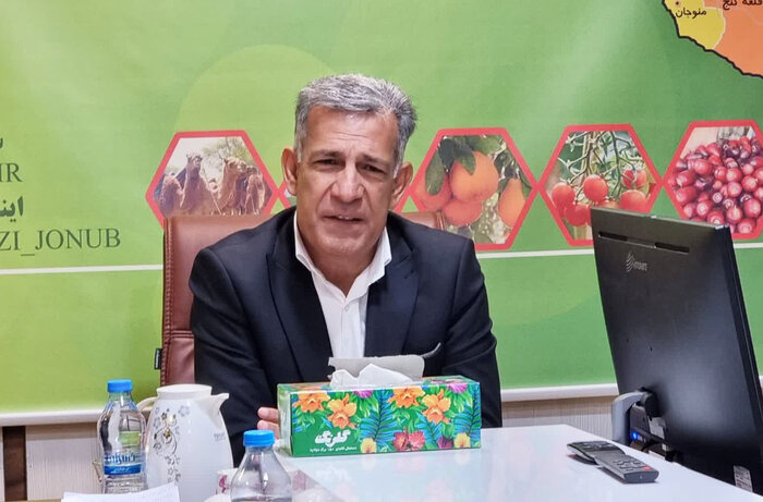 اجرای الگوی کشت، مهم‌ترین برنامه جهاد کشاورزی | اخبار استان کرمان