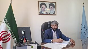 ضرب‌الاجل ۱۰ روزه دادستان ریگان برای خروج اتباع غیرمجاز | خبر کرمان